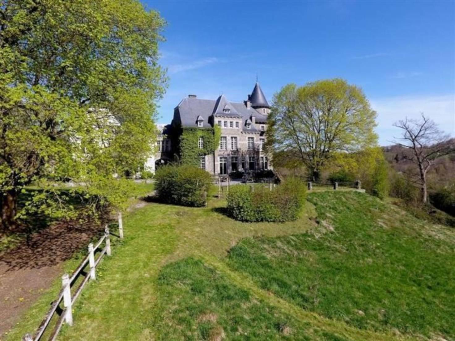 Le Petit Chateau De Blier Villa Erezee Luaran gambar